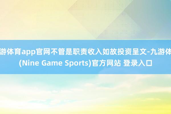 九游体育app官网不管是职责收入如故投资呈文-九游体育(Nine Game Sports)官方网站 登录入口